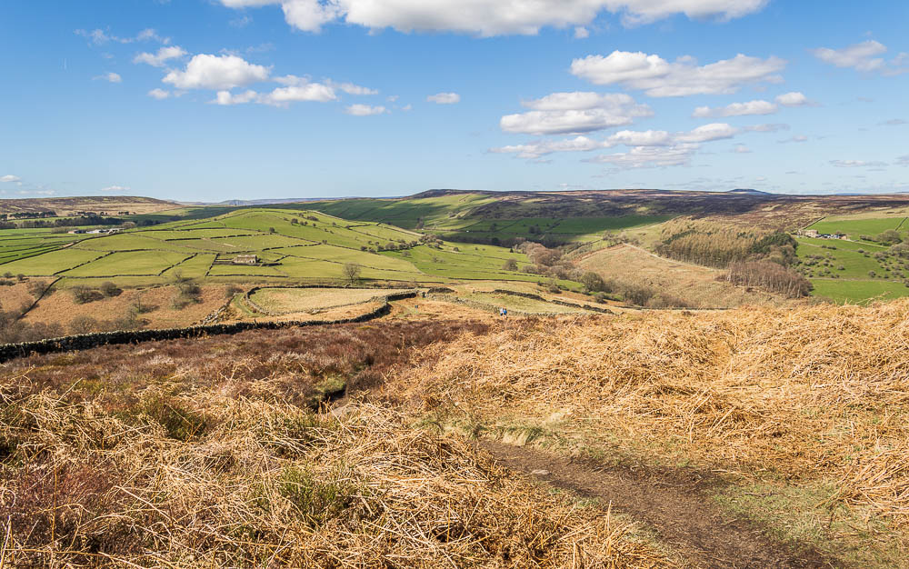 Eyam Moor